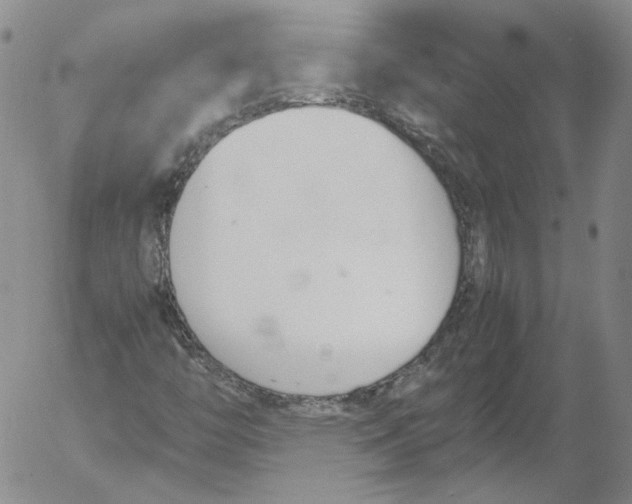 X0000053111446200508012112