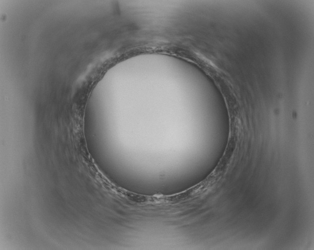 X0000053111447200508012112