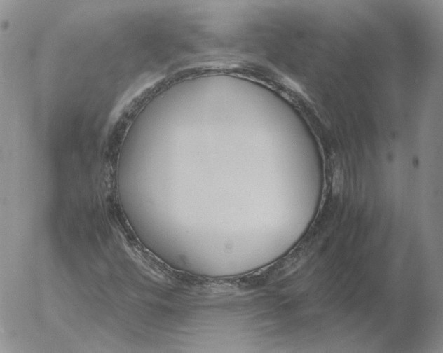 X0000053111448200508012112