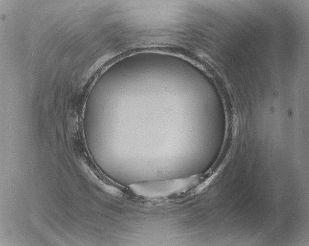 X0000053111449200508012112