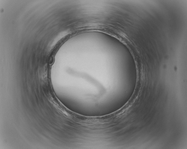 X0000053111450200508012112