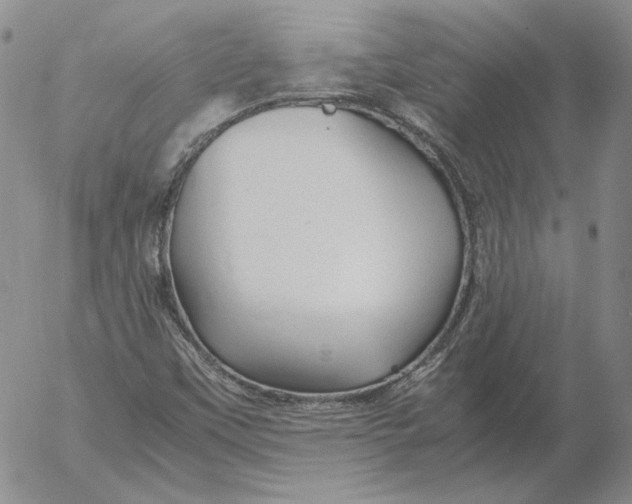 X0000053111451200508012112