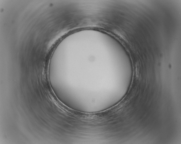 X0000053111452200508012112