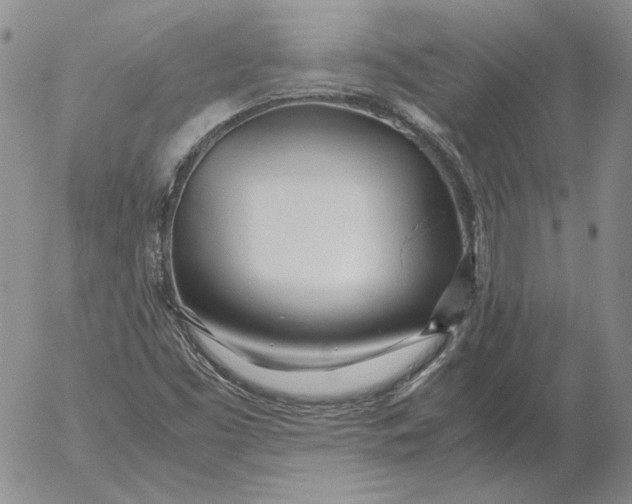 X0000053111453200508012112