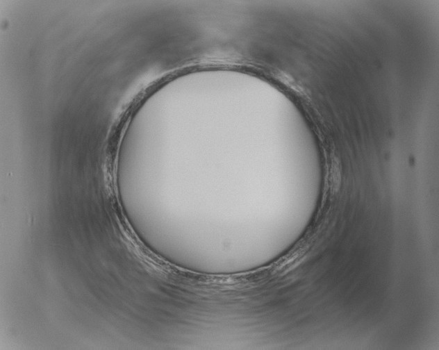 X0000053111454200508012112