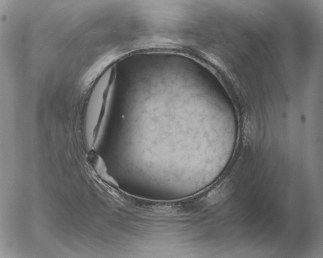 X0000053111455200508012112