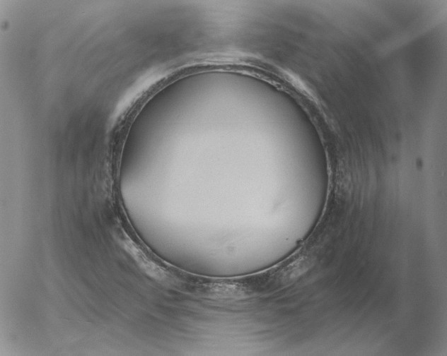 X0000053111456200508012112