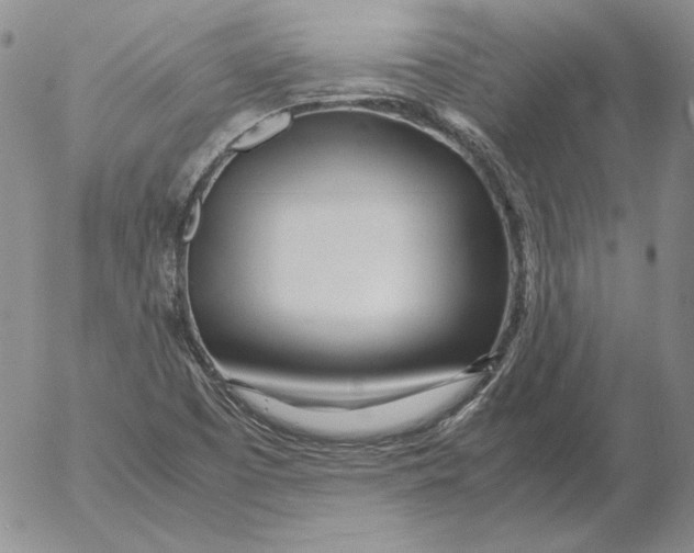 X0000053111457200508012112