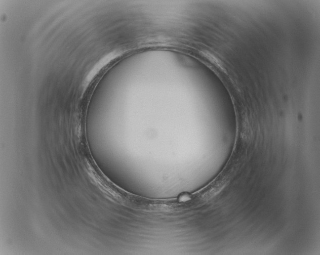 X0000053111458200508012112