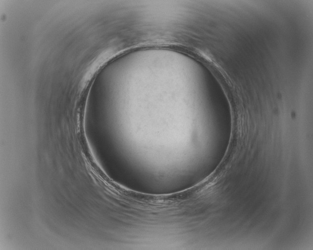 X0000053111459200508012112