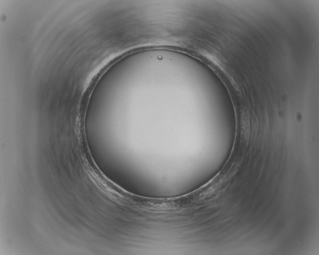 X0000053111460200508012112