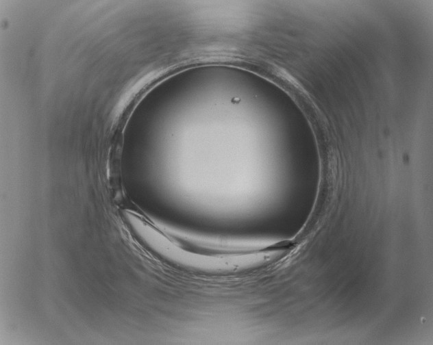 X0000053111461200508012112