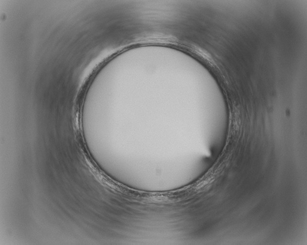 X0000053111462200508012112