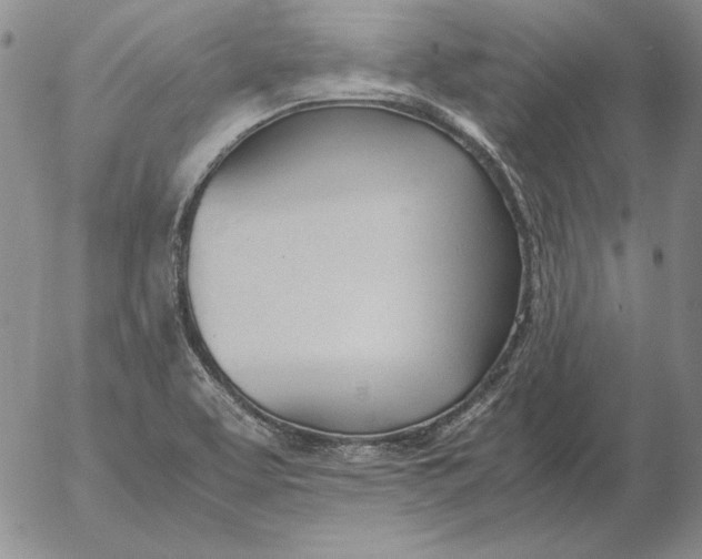 X0000053111463200508012112