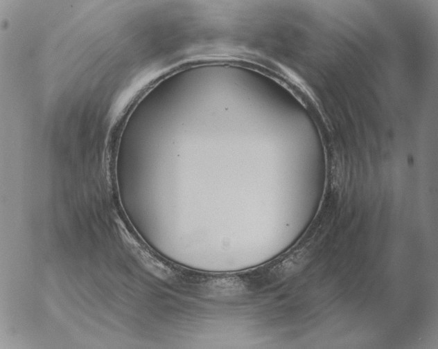 X0000053111464200508012112