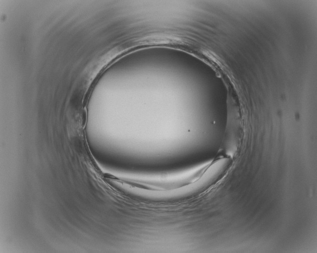 X0000053111465200508012112