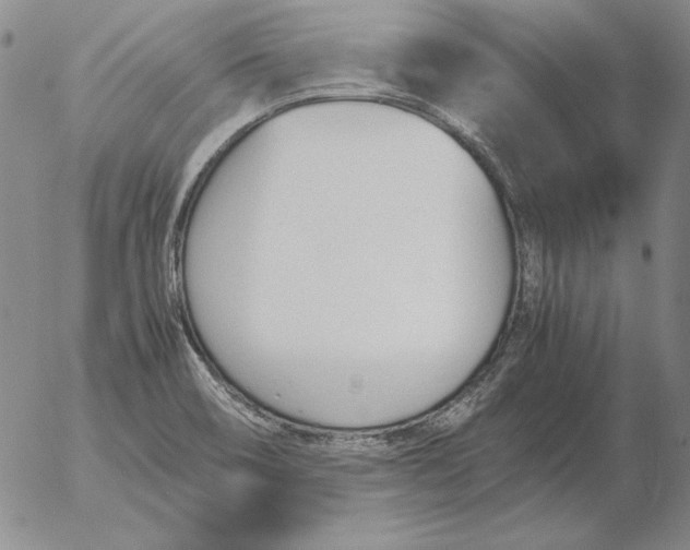 X0000053111466200508012112