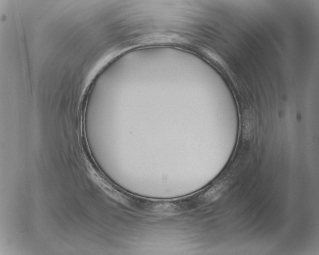 X0000053111467200508012112