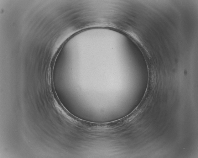 X0000053111468200508012112