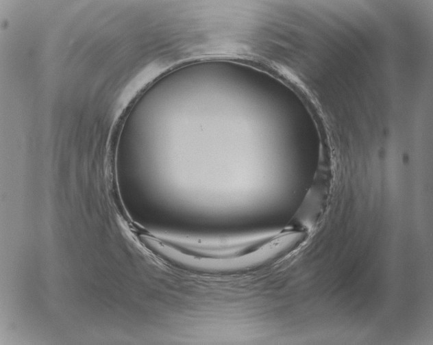 X0000053111469200508012112