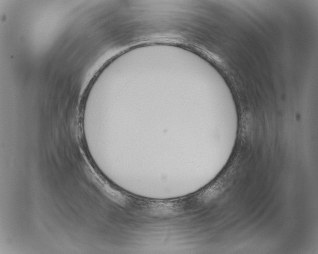 X0000053111470200508012112