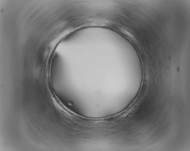 X0000053111471200508012112