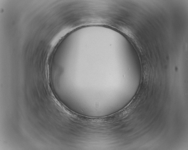 X0000053111472200508012112