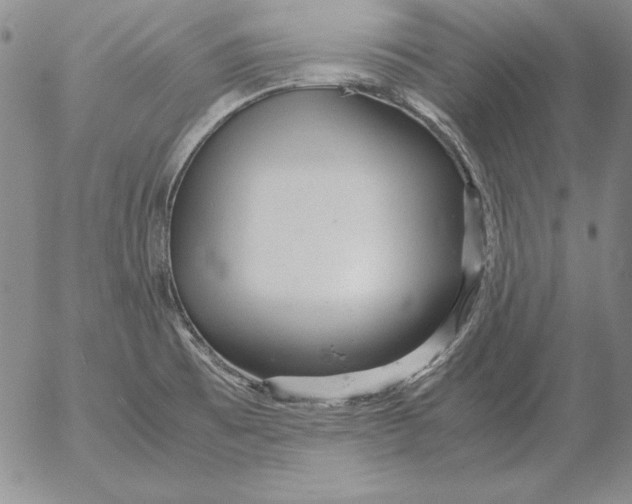 X0000053111473200508012112