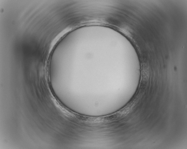 X0000053111474200508012112