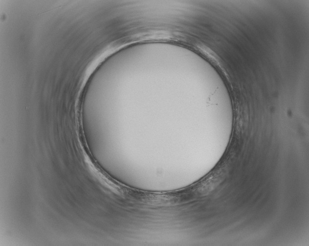 X0000053111475200508012112