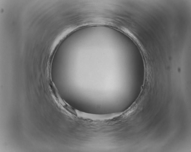 X0000053111477200508012112