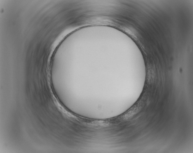 X0000053111478200508012112