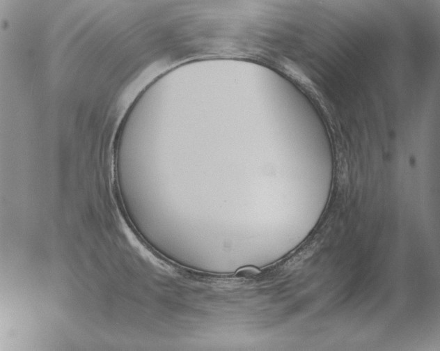 X0000053111479200508012112