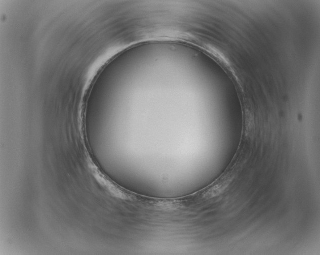 X0000053111480200508012112