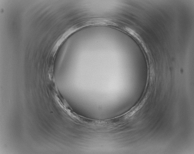 X0000053111481200508012112