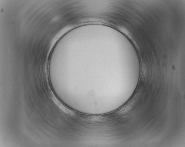 X0000053111482200508012112