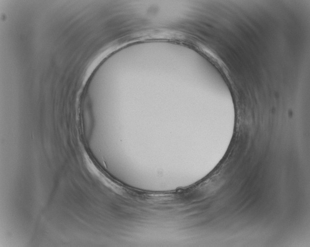 X0000053111483200508012112