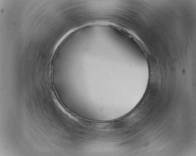 X0000053111484200508012111