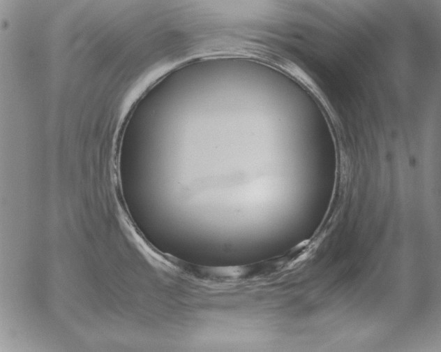 X0000053111485200508012111