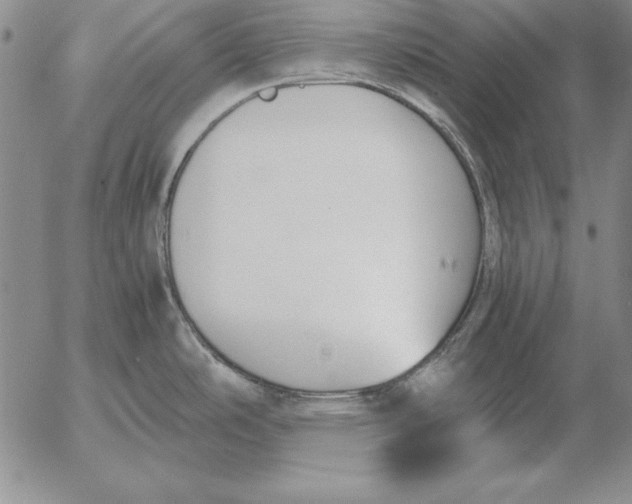 X0000053111486200508012111