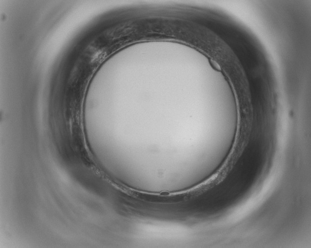 X0000053111487200508012111