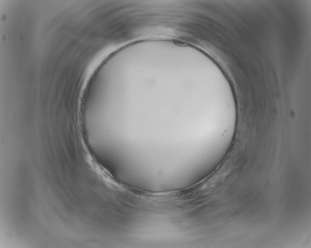 X0000053111488200508012111