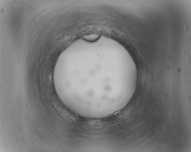 X0000053111489200508012111