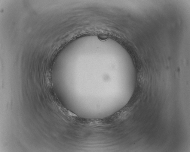 X0000053111490200508012111