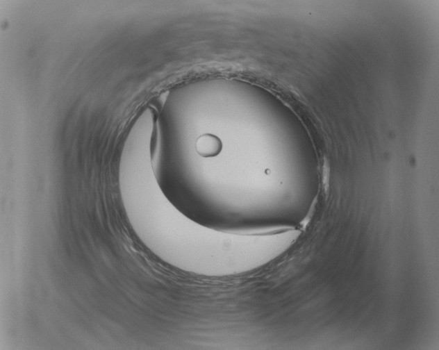 X0000053111492200508012111