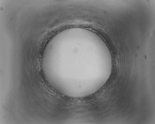 X0000053111493200508012111