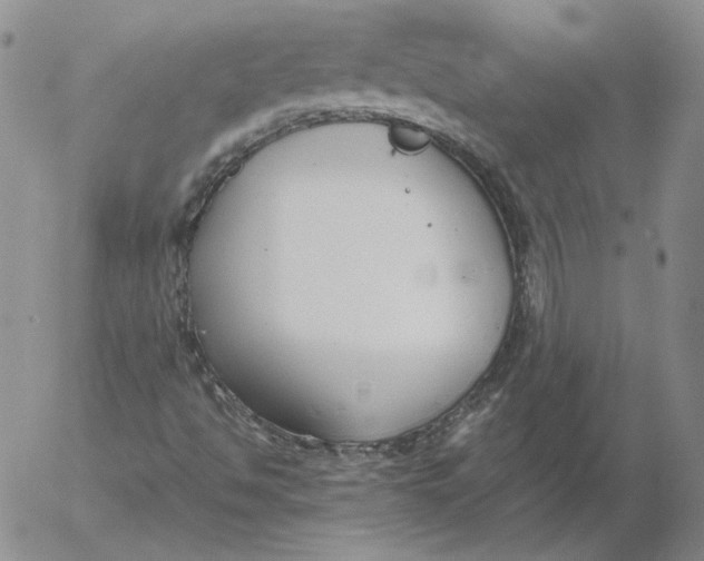 X0000053111494200508012111