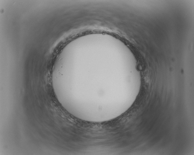 X0000053111495200508012111