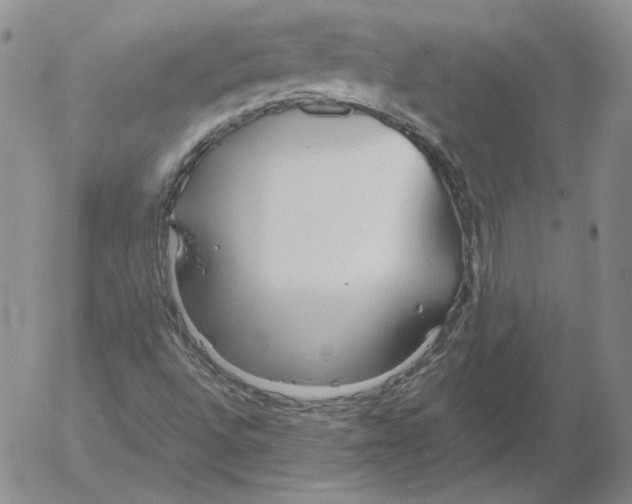 X0000053111496200508012111