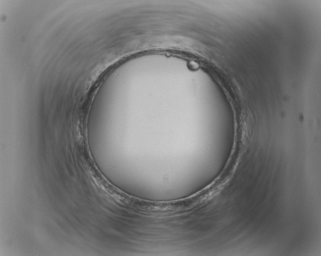 X0000053111497200508012111